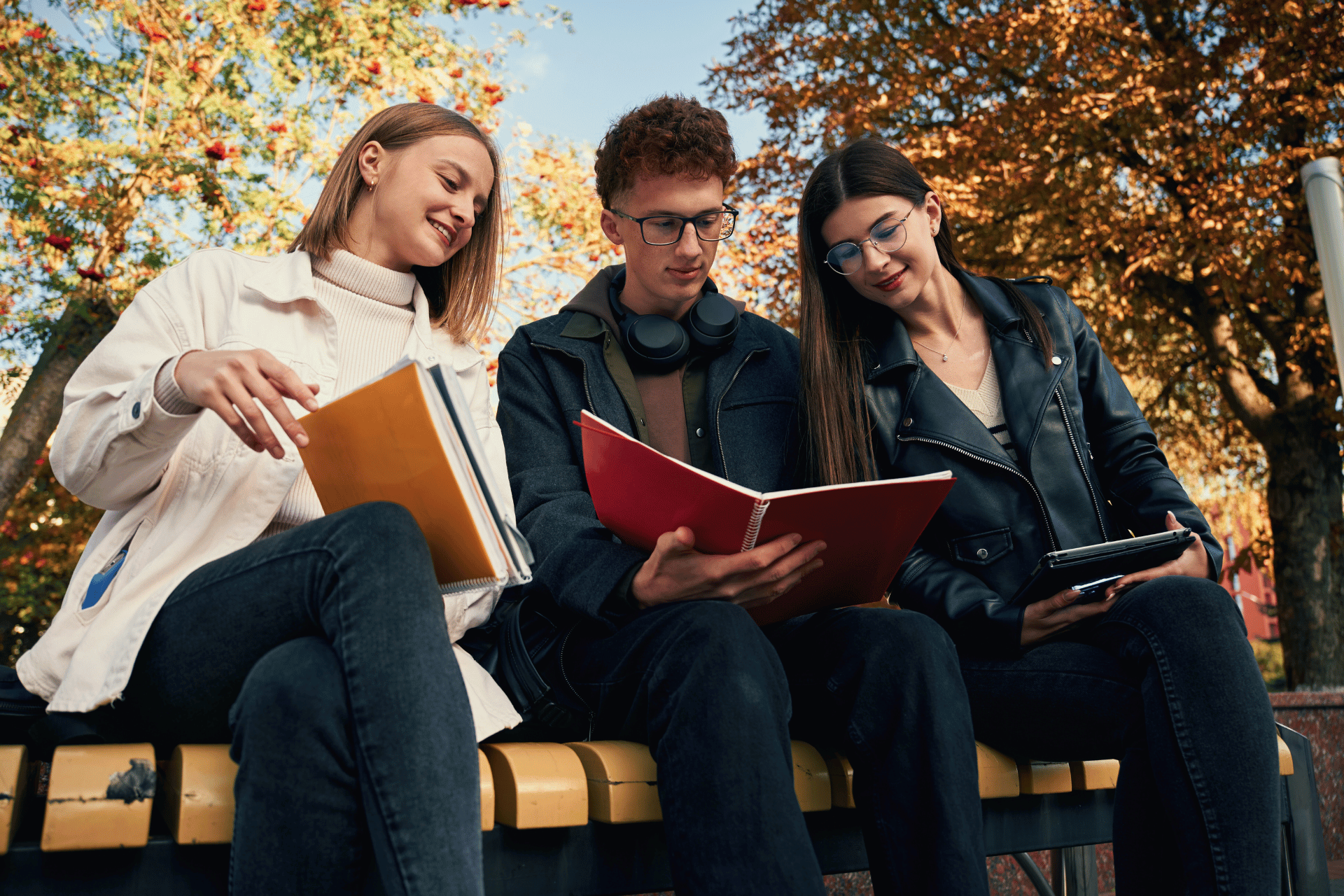 Untitled design (55) https://studyinswitzerland.net/wp-content/uploads/2025/12/Untitled-design-55.png